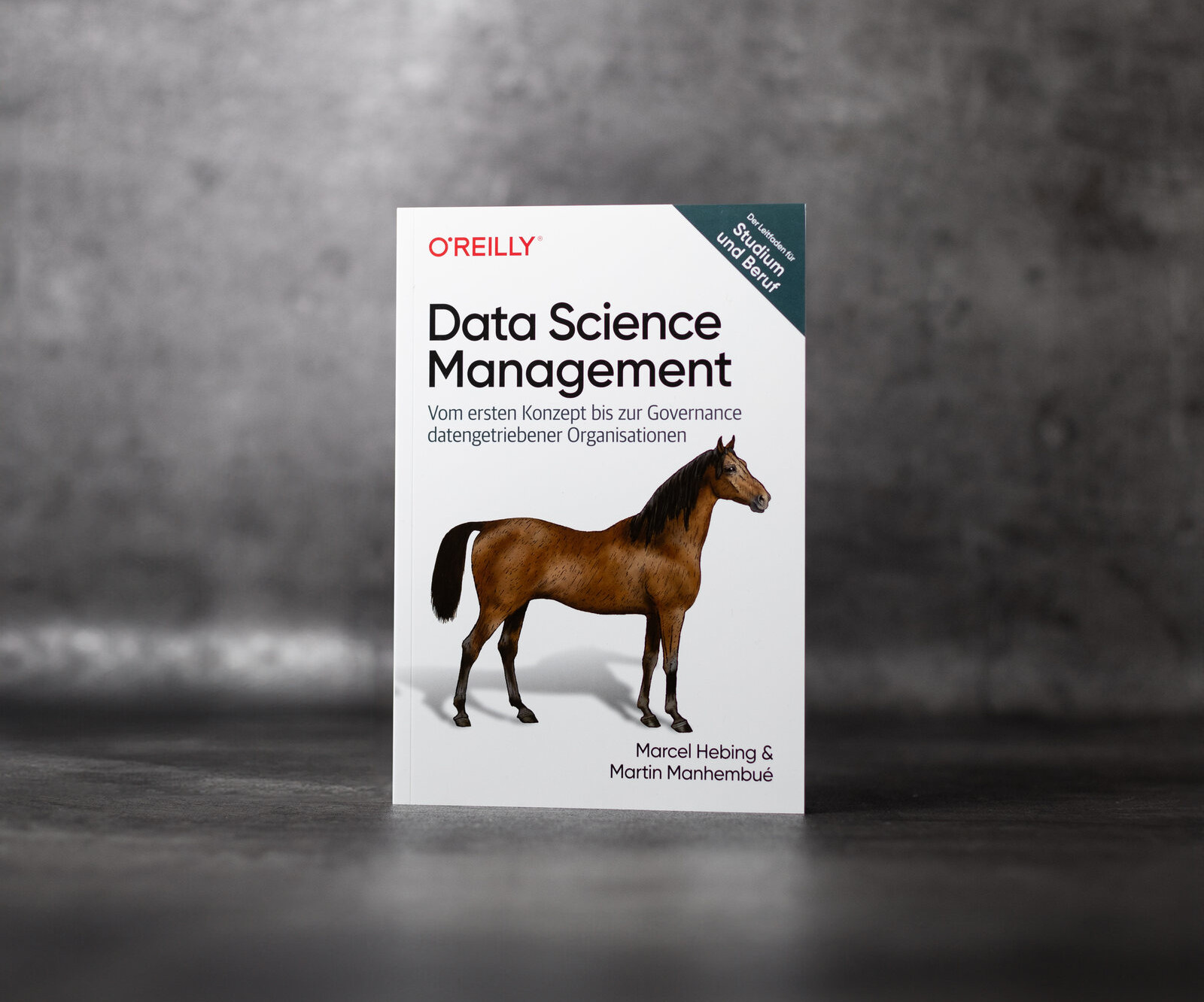 Das Buch Data Science Management vor einem grauen Studiohintergrund